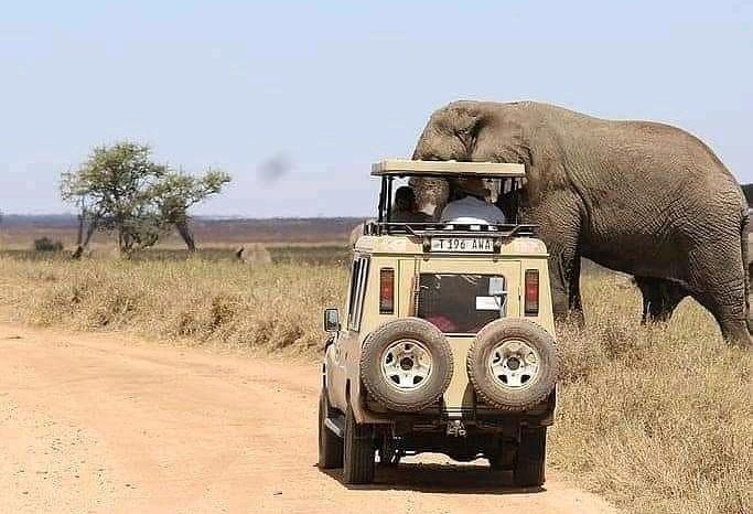 5 – Day Serengeti safari